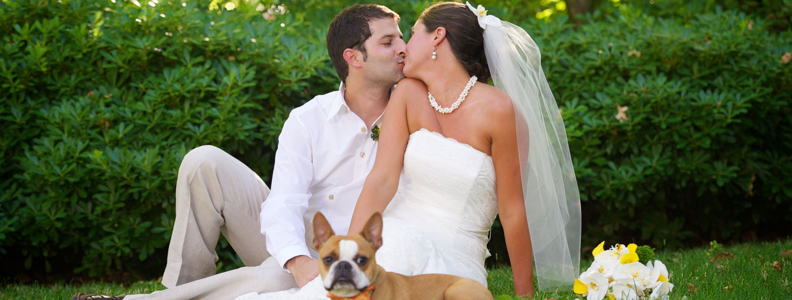 短信轰在线轰炸免费下载